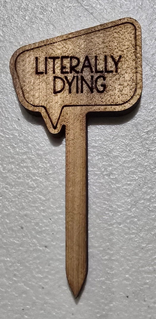 Wooden sign with 'Literally Dyng' text on a white background