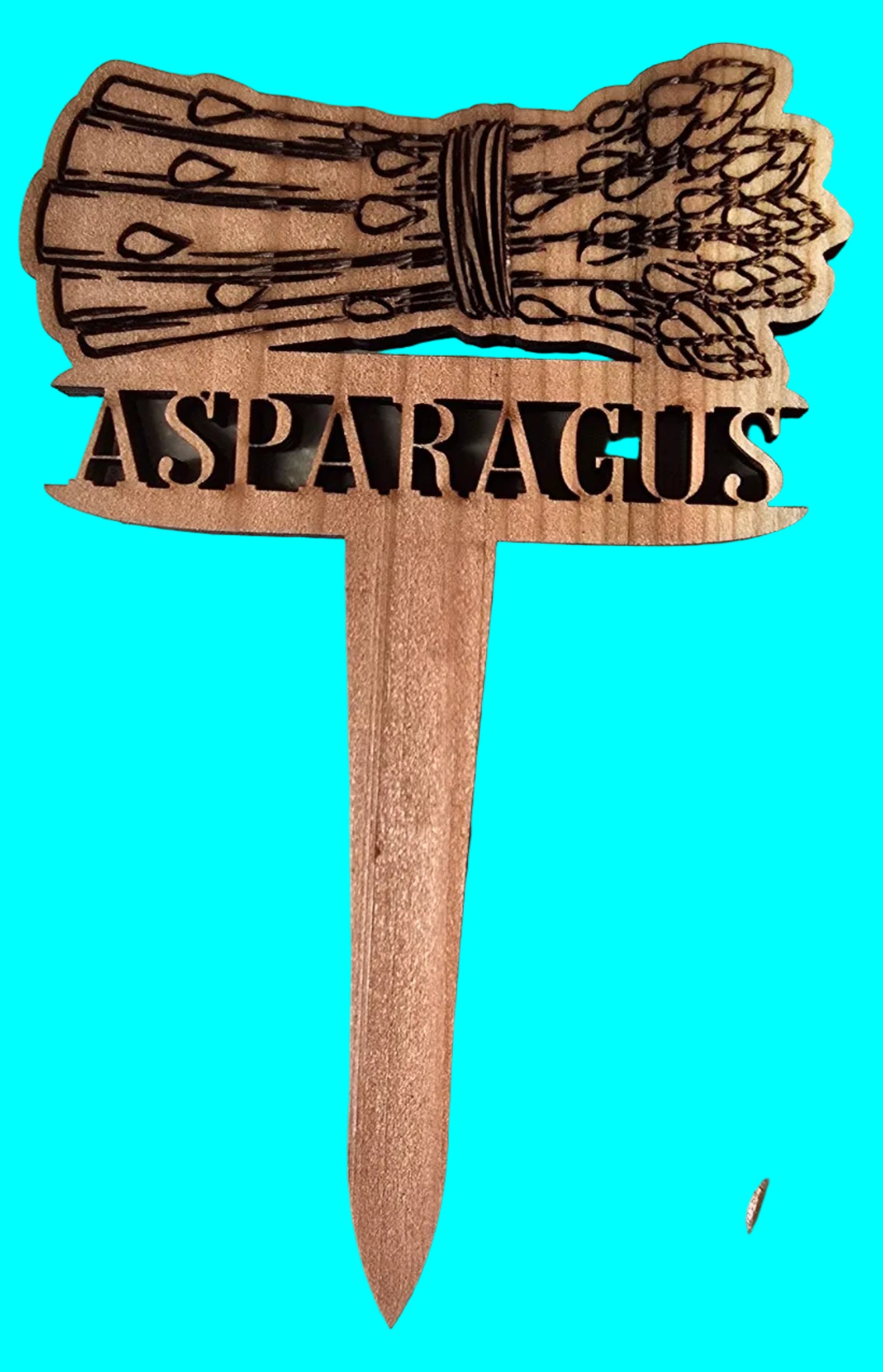 Vegetable Plant Marker - Asparagus