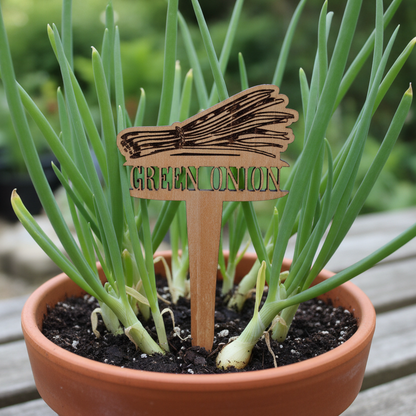 Potted green onion plant with a wooden label on a wooden surface