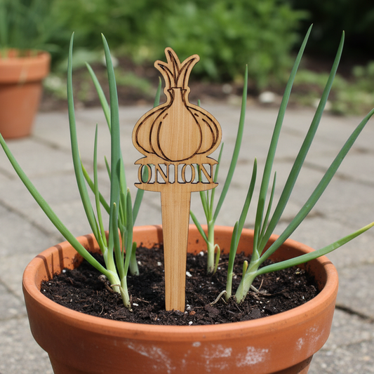 Vegetable Plant Marker - Onion