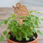Potted parsley plant with a wooden leaf-shaped plant marker on a wooden surface.