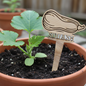 Vegetable Plant Marker - Squash