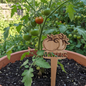 Vegetable Plant Marker - Maters