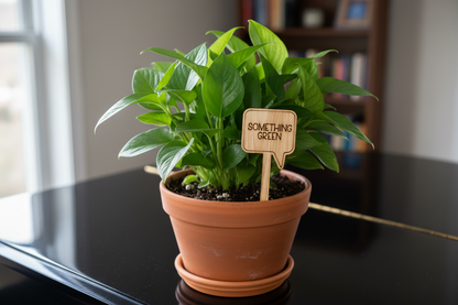 Potted plant on a reflective surface with a sign labeled 'Something Green' in the background.