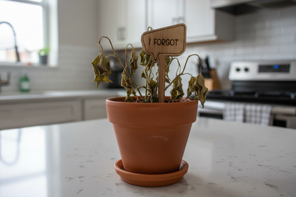 Dying potted plant with a sign saying 'I forgot' on a kitchen counter.