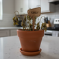 Dying potted plant with a wooden sign saying 'I FORGOT' on a kitchen counter.