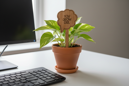 Potted plant on a desk with a wooden sign reading 'YOU GROW GIRL' next to a computer monitor.