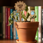 Potted plant with a 'Water Me!' sign in front of books