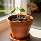 Small potted plant with a 'STILL ALIVE' sign on a windowsill