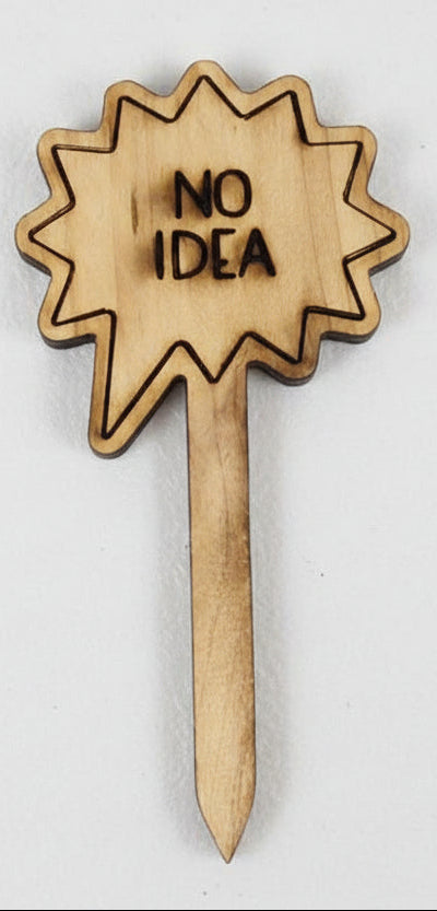 Wooden pick with 'No Idea' text on a gray background