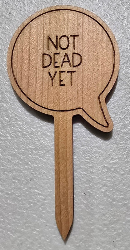 Wooden pick with 'Not Dead Yet' text on a light gray background