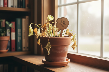 Dying potted plant with a sign on a windowsill next to books