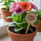 Potted plant with colorful flowers and a wooden sign reading 'Flower of Some Sort' on a windowsill.
