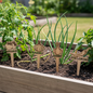 Wooden garden markers for tomatoes, garlic, onions, and sunflowers in a raised garden bed.