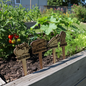 Wooden garden markers with vegetable illustrations in a garden setting